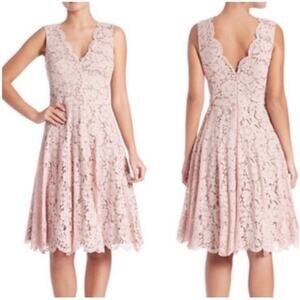 Vera Wang Scarlet Blush Scalloped Lace A-line V-neck Dress Size 12 Womens